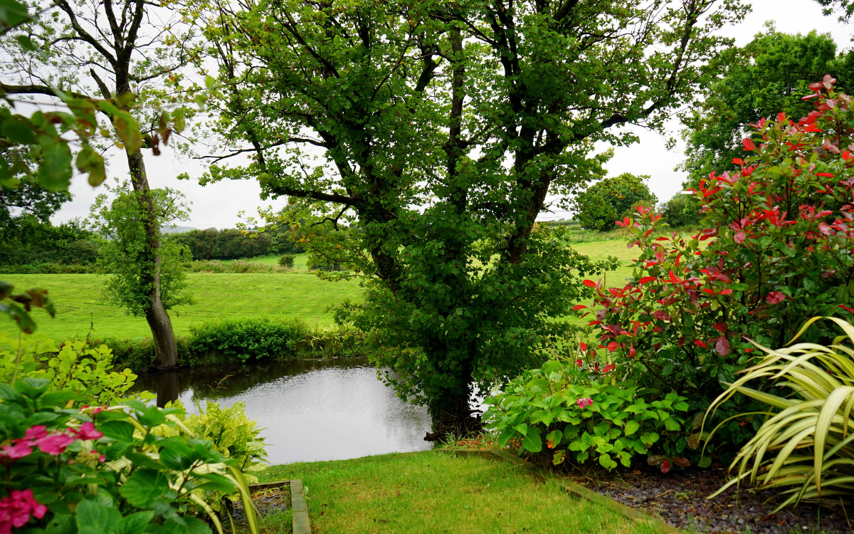 The Biggest Home Selling Mistakes Sellers Make in Spring in Mount Ayr, Iowa